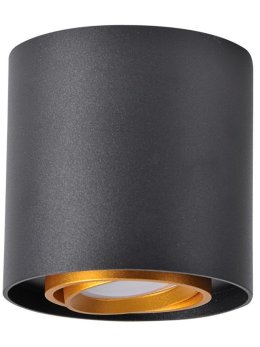 Oprawa sufitowa okrągła EGER spot DOWNLIGHT 313973 - LEDco.pl