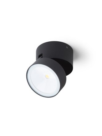 FLAVIO R natynkowa jasno szara 230V LED 6W 110° IP54 3000K 2