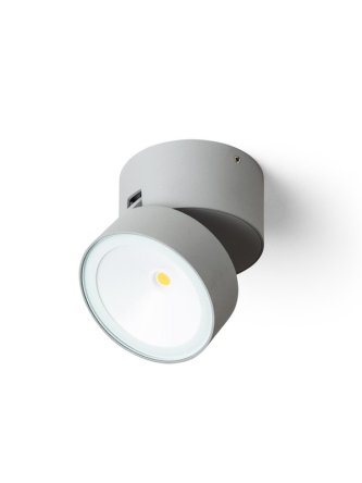 FLAVIO R natynkowa jasno szara 230V LED 6W 110° IP54 3000K