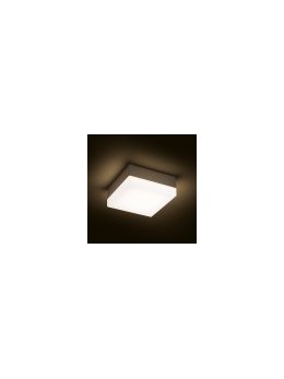 CLYDE ścienna antracyt  230V LED E27 11W IP44