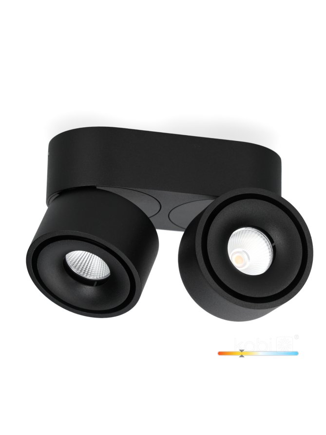 Oprawa sufitowa LAHTI mini dim 2x9W 3000K czarna Art of Light