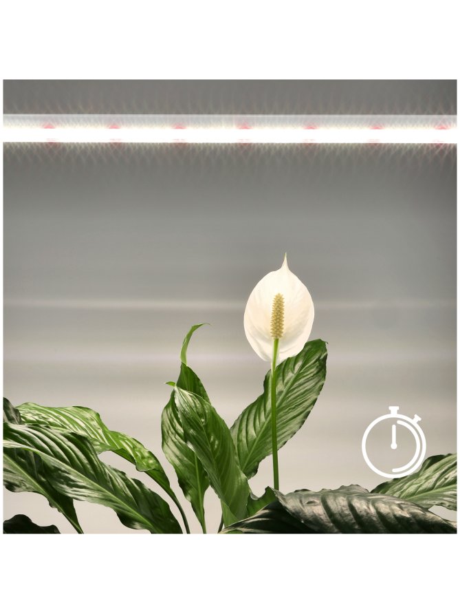 Lampa do roślin LED GROWLY 15W Kobi Design