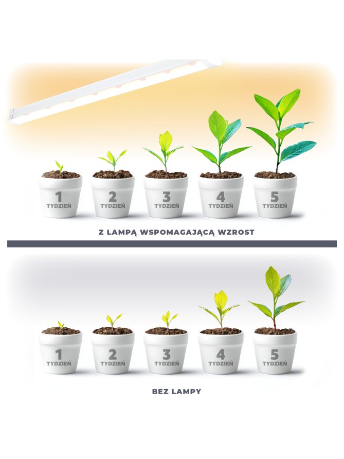 Lampa do roślin LED GROWLY 15W Kobi Design