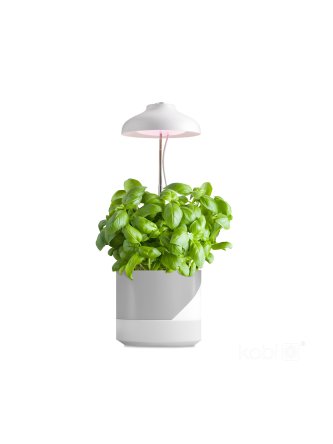 Lampa do roślin LED VERDI 5W 3200K Kobi Design