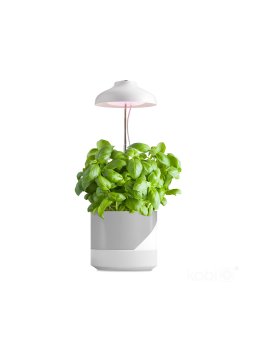 Lampa do roślin LED VERDI 5W 3200K Kobi Design