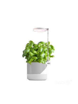 Lampa do roślin LED VERDI 10W 3200K Kobi Design