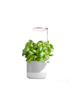 Lampa do roślin LED VERDI 10W 3200K Kobi Design