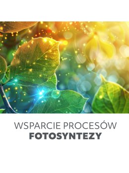 Lampa do roślin LED VITARO 4 CLIP 10W Kobi Design