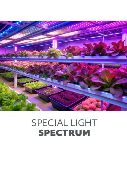Lampa do roślin LED VITARO 4 ST MINI 10W Kobi Design