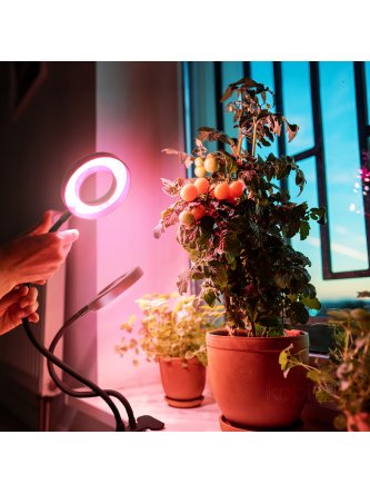 Lampa do roślin LED VITARO RING 2 CLIP 8W Kobi Design 2