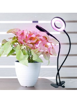 Lampa do roślin LED VITARO RING 2 CLIP 8W Kobi Design