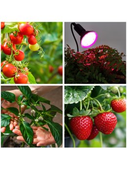 Lampka biurkowa PLANTY CLIP B 1xE27 czarna Kobi Design