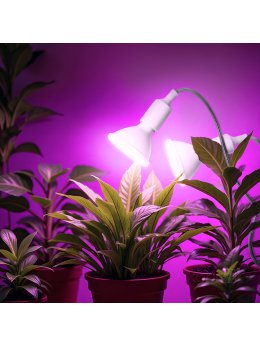 Lampka biurkowa PLANTY CLIP W DUO 2xE27 biała Kobi Design