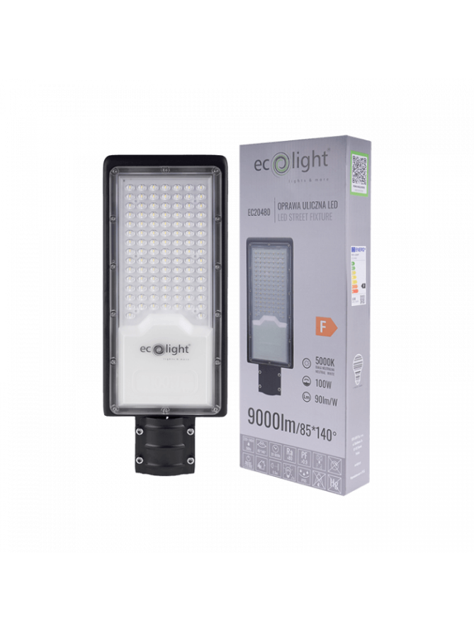 LAMPA ULICZNA ECONOMY 100W 9000lm 5000K
