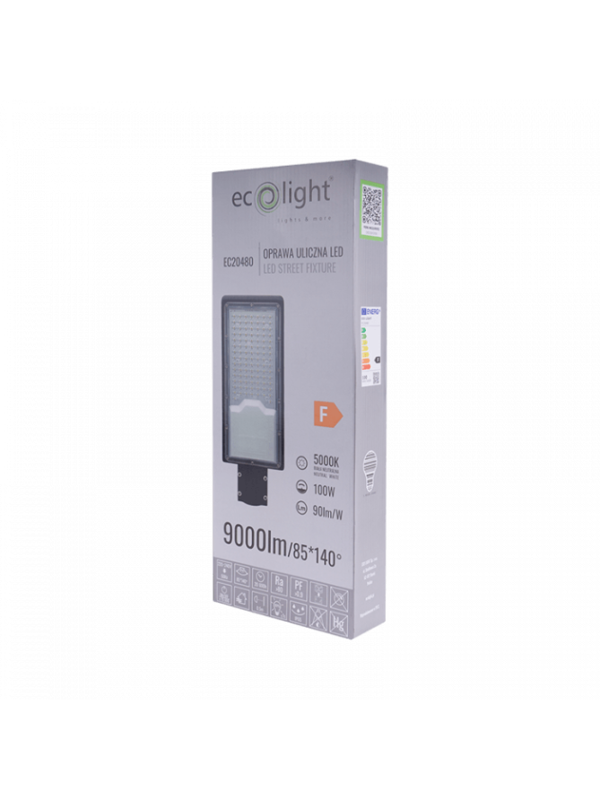 LAMPA ULICZNA ECONOMY 100W 9000lm 5000K