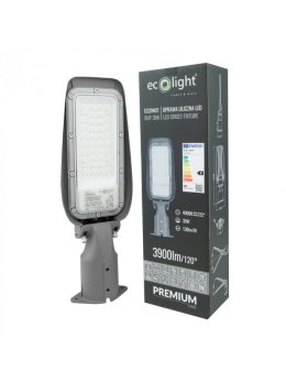 LAMPA ULICZNA PREMIUM 30W 4000K 130lm/W IP65