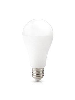 Żarówka LED GS 22W E27 6500K Kobi