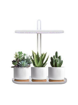 Lampa do roślin LED BLOOM 12W 4500K Kobi Design