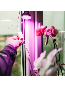 Żarówka do roślin LED PLANTY B 7W E27 1200K czarna Kobi Design