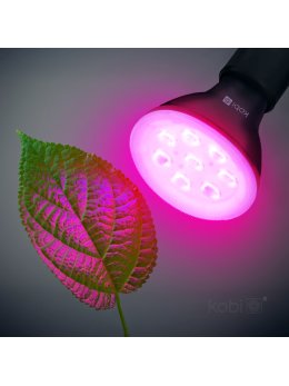 Żarówka do roślin LED PLANTY B 7W E27 1200K czarna Kobi Design