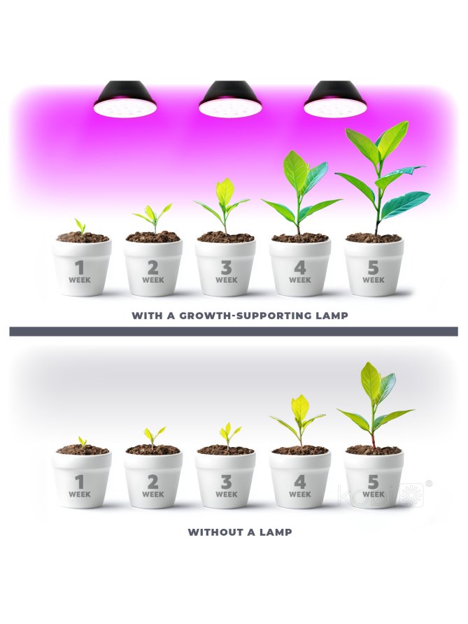Żarówka do roślin LED PLANTY B 7W E27 1200K czarna Kobi Design
