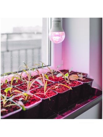 Żarówka do roślin LED PLANTY GS 11W E27 1200K Kobi Design 2