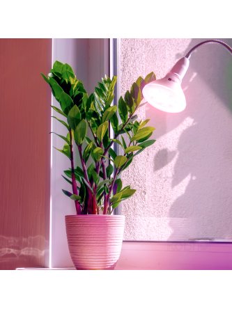 Żarówka do roślin LED PLANTY W 7W E27 1200K biała Kobi Design 2