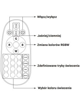 Lampa wbijana reflektor kolory RGB na imprezę w ogrodzie - LEDco.pl