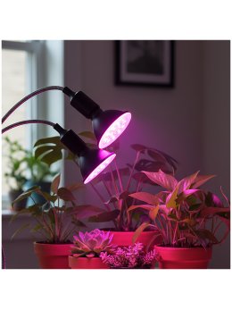 Lampka biurkowa PLANTY CLIP B DUO 2xE27 czarna Kobi Design