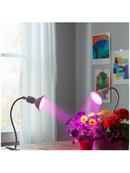 Lampka biurkowa PLANTY CLIP W 1xE27 biała Kobi Design