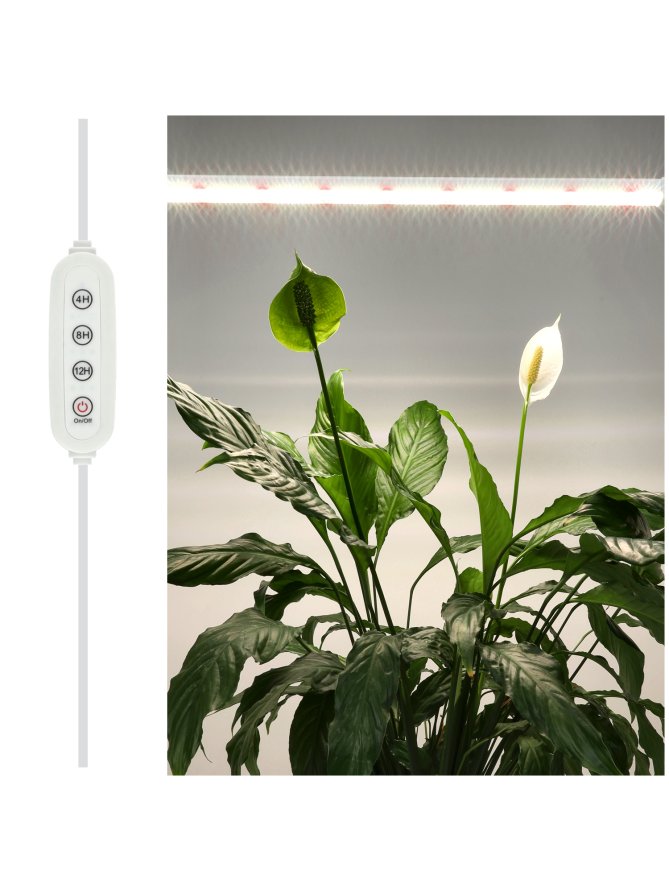 Przewód ze sterownikiem LED GROWLY PC 3m Kobi Design
