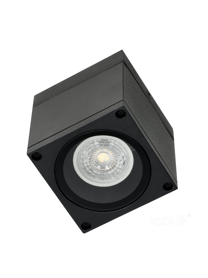 Lampa sufitowa zewnętrzna QUERK 1 1xGU10 IP54 czarna LED2B 