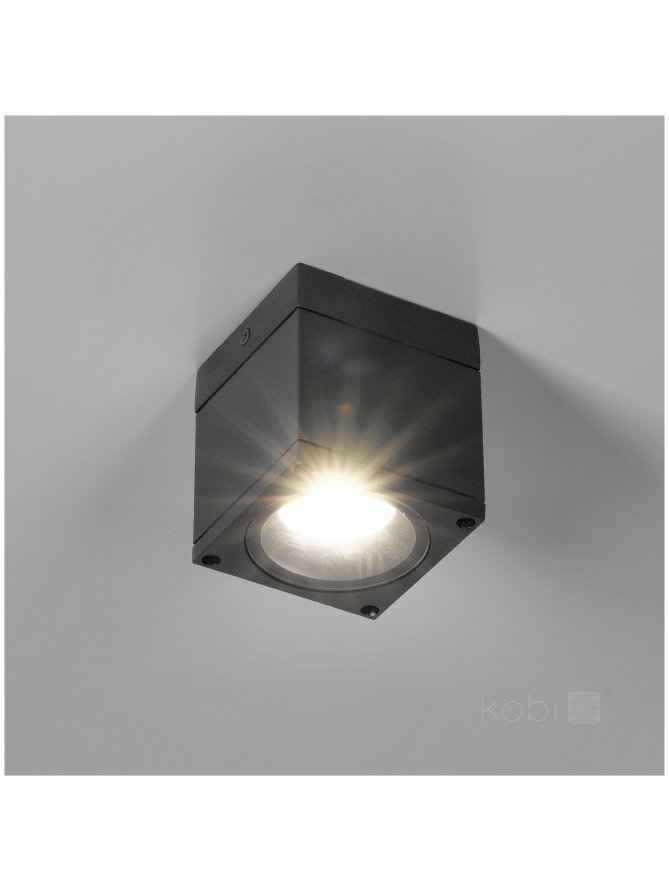 Lampa sufitowa zewnętrzna QUERK 1 1xGU10 IP54 czarna LED2B 
