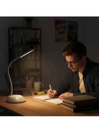 Lampka biurkowa LED VISUA DESK 5W szara LED2B  2