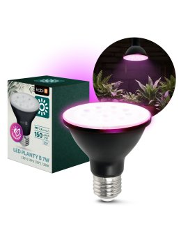 Żarówka do roślin LED PLANTY B 7W E27 1200K czarna Kobi Design 004013