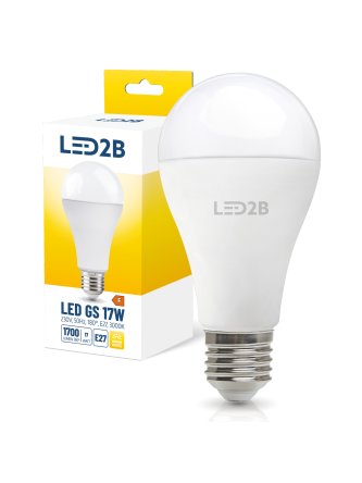 Żarówka LED GS 17W E27 3000K LED2B 004295