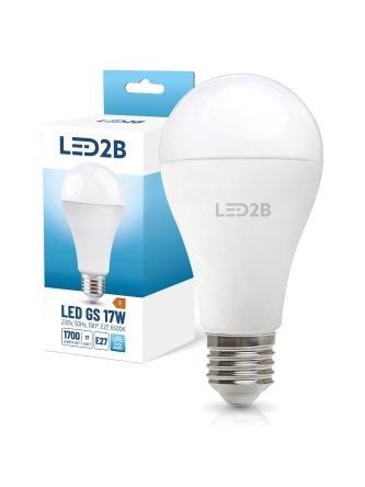 Żarówka LED GS 17W E27 6500K LED2B 004297