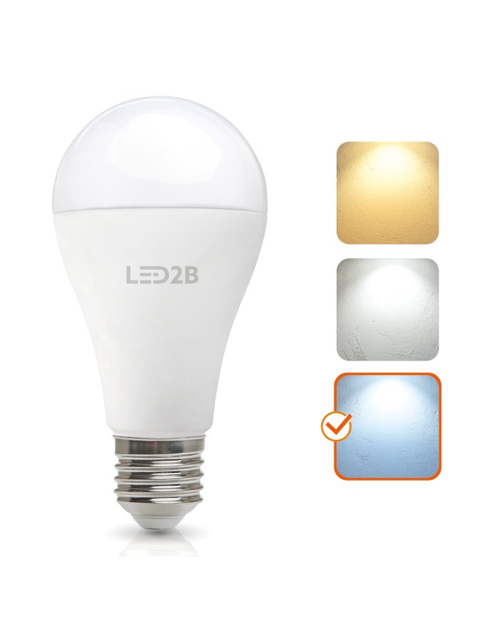 Żarówka LED GS 17W E27 6500K LED2B 004297