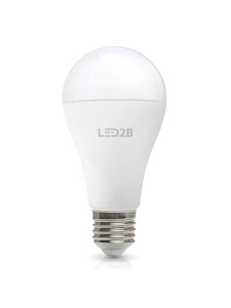 Żarówka LED GS 17W E27 6500K LED2B 004297