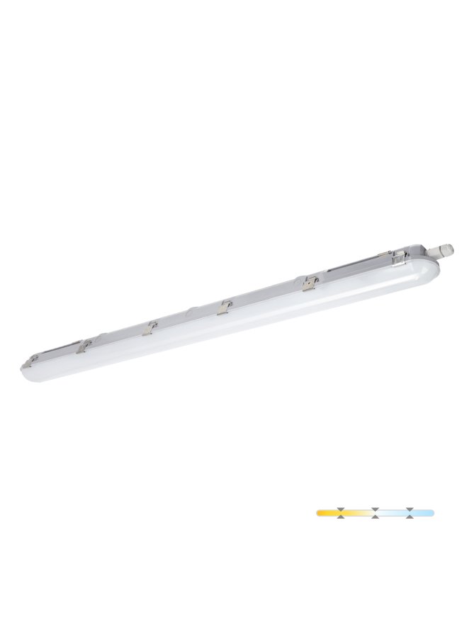 Oprawa hermetyczna liniowa LED NEXFORCE N2 max. 36W 3CCT DALI Kobi Pro 005333