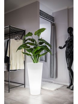 Donica podświetlana Della 75 cm