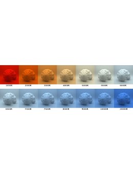 Naświetlacz LED 50W SMD na statywie 150cm